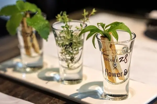 花吧Flower8 /美食窩客 尼洛 提供