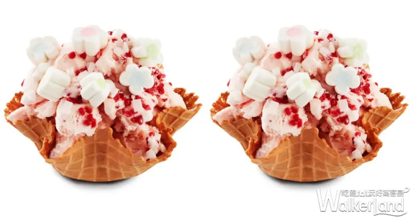  COLD STONE / WalkerLand窩客島整理提供