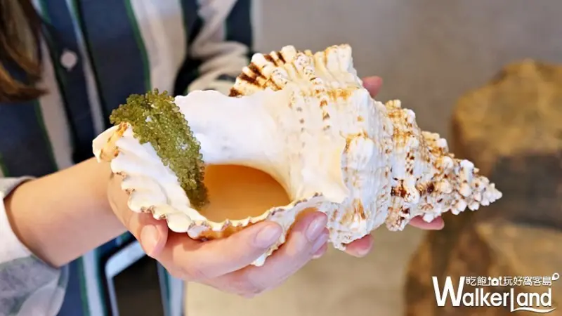 Woden肉殿 / WalkerLand窩客島提供