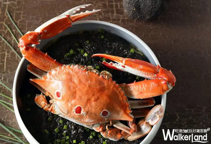 望月樓 / WalkerLand窩客島提供