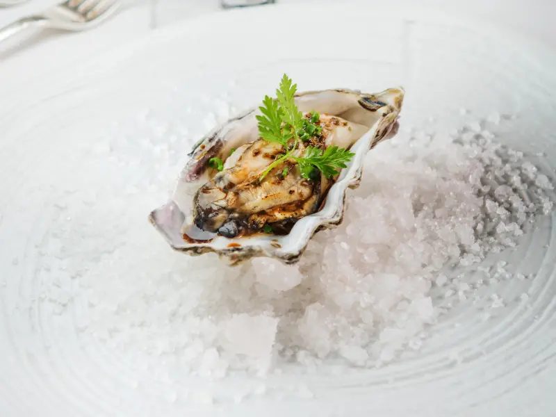 只有三天．新加坡票選最佳西廚來台用南義料理，驚豔整個南台灣！