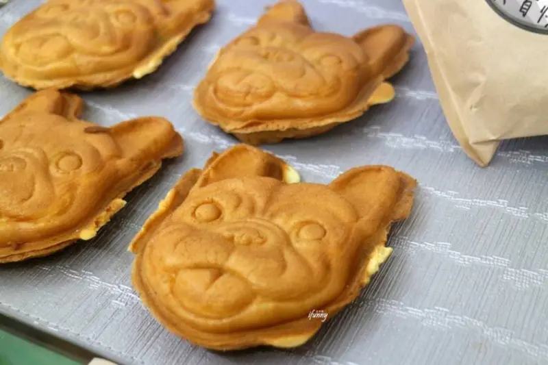 犬首燒(台北店) /美食窩客 ifunny艾方妮 提供