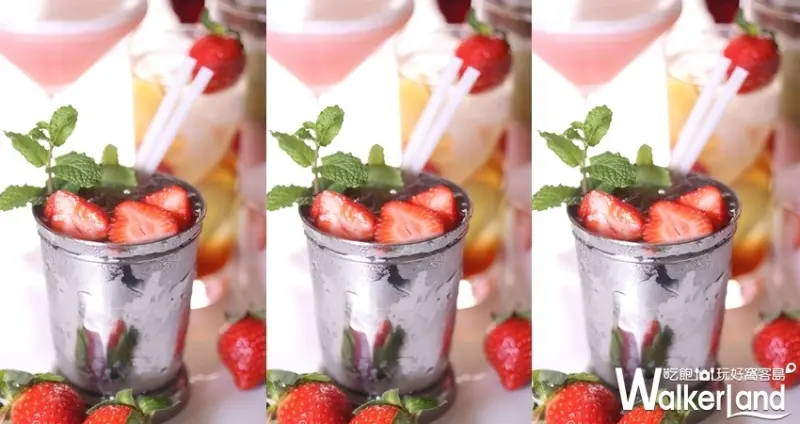 晶華酒店 / WalkerLand窩客島整理提供