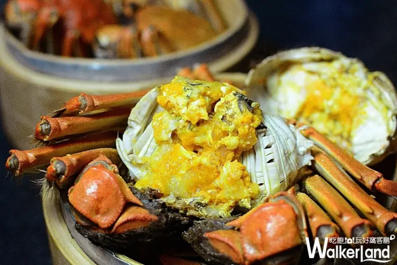 大閘蟹無限吃到飽！雲軒西餐廳看準商機，推出「揪團品蟹享超值優惠」搶攻秋季品蟹「必吃」龍頭寶座。