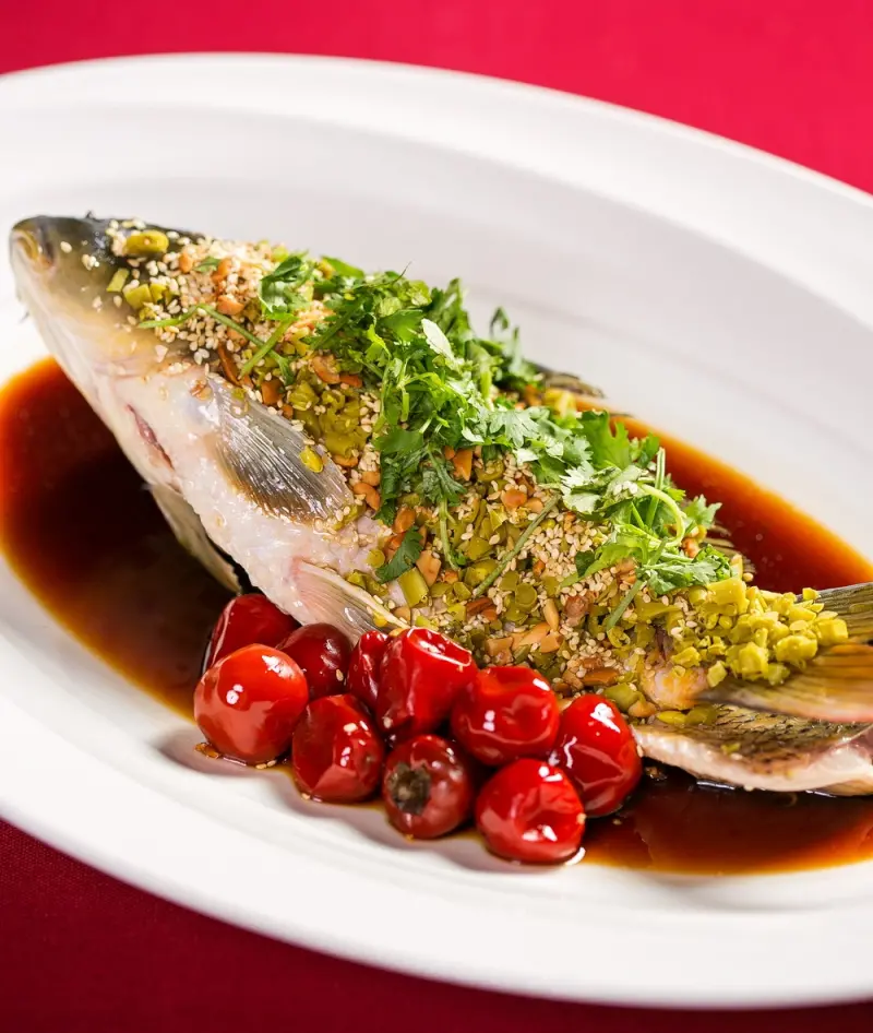 【飲食環保新主張】永續海洋鮮食美饌 愛吃也要愛護生態！