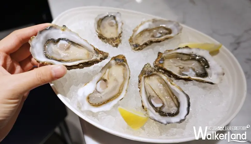 酒窖生蠔吧  / WalkerLand窩客島提供