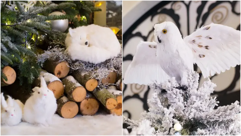 全台19個聖誕必拍景點 / WalkerLand窩客島提供