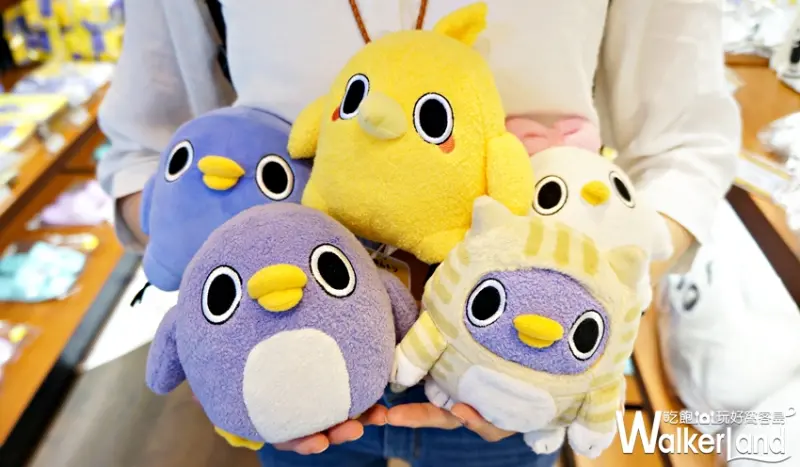 懶得"鳥"你X 賤萌熊  / WalkerLand窩客島提供