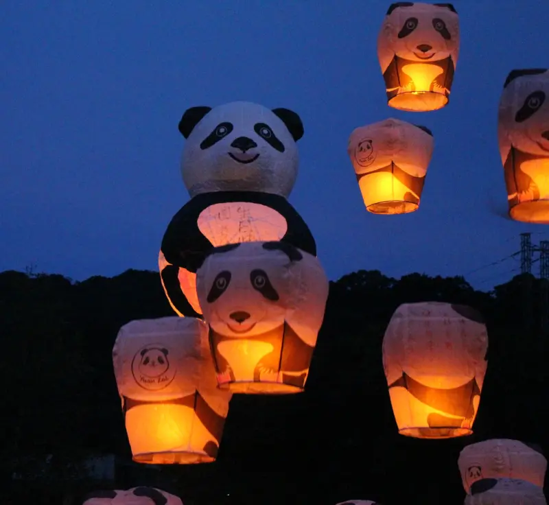 萌翻平溪！15呎圓仔天燈升空 波麗士天燈接力