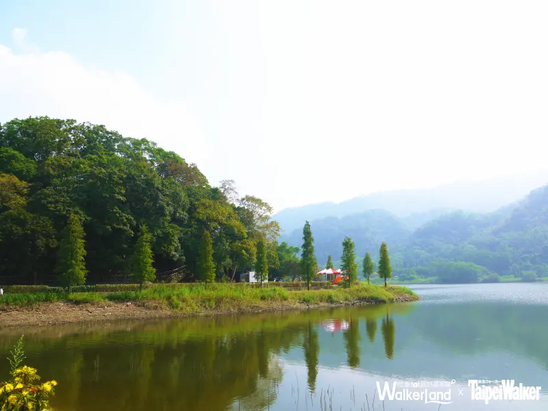 苗栗一日遊！親子遊玩好去處！你所不知道的苗栗秘境！客家米食體驗DIY！
