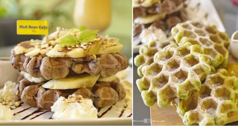 「嘉義民雄下午茶」尼巴熊Mud Bear Cafe，咖啡、輕食、乾燥花一次滿足。美美的乾燥花佈滿整間室內，好拍好吃女朋友特調好好喝!螞蟻系朋友衝了唷~嘉義下午茶、嘉義甜點、嘉義乾燥花、嘉義美食、嘉義推