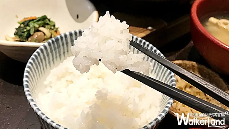 YAYOI彌生軒/ WalkerLand窩客島整理提供 未經許可不可轉載