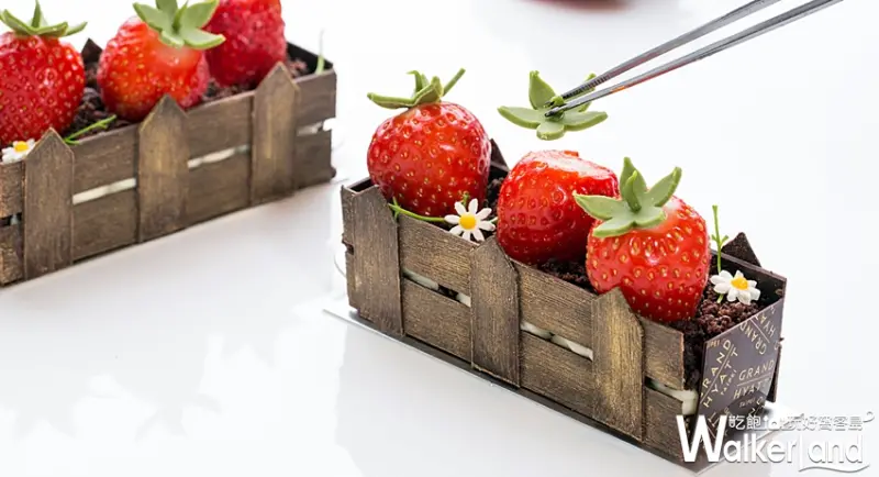 台北君悅酒店草莓季 / WalkerLand窩客島提供