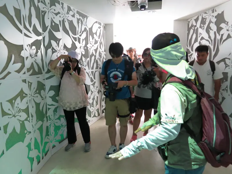 無縫接軌暢遊雲嘉南沿海！台灣好行鹽鄉濱海線套票、一日券發售中！