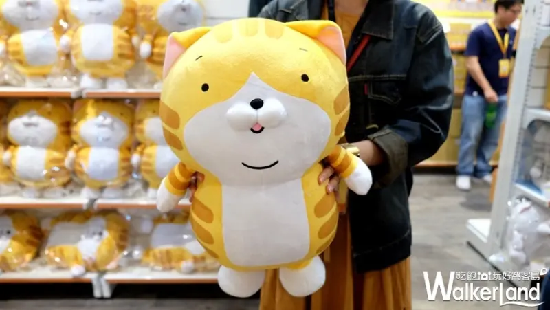 華山免費打卡「白爛貓87超商期間限定店」/ WalkerLand窩客島提供