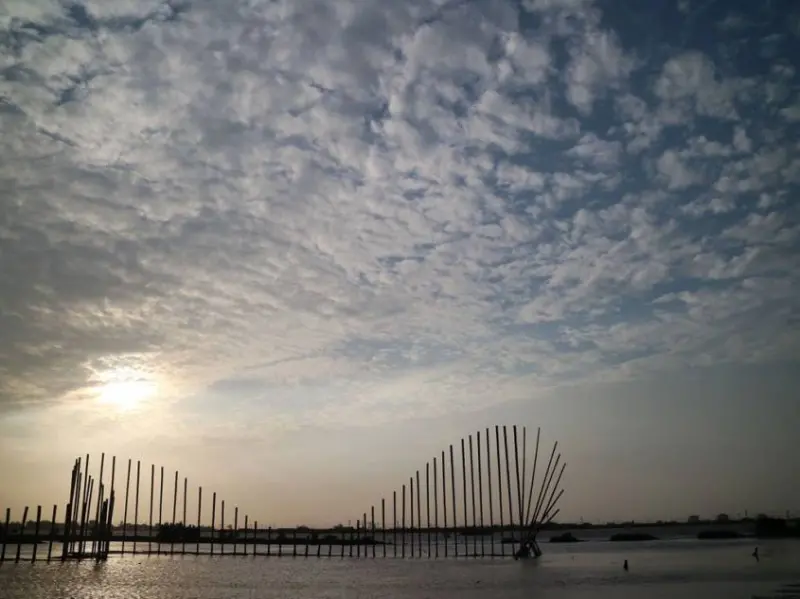 窩客菓子の幸福週記 曾在 成龍濕地 推薦提供