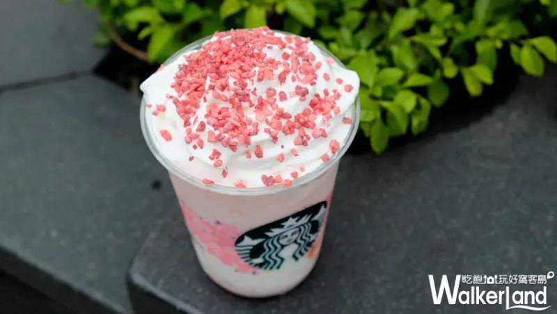 星巴克 草莓蜜香奶霜星冰樂 / WalkerLand窩客島提供