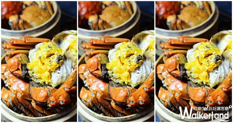 Buffet品花苑吃到飽 / WalkerLand窩客島提供