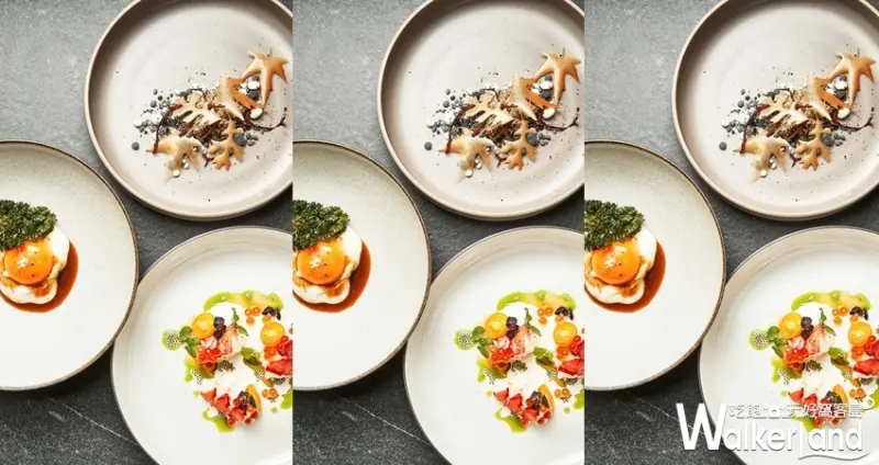 TOSCANA松露盛宴 / WalkerLand窩客島整理提供