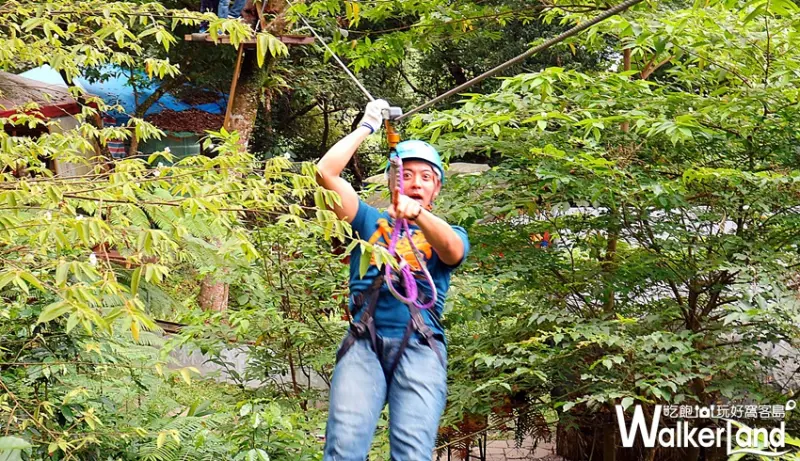 野猴子探險森林