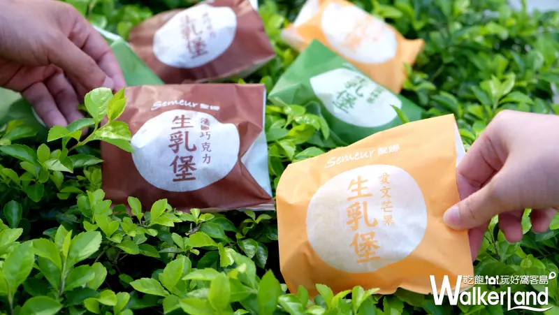 Semeur聖娜「凍凍生乳堡」/ WalkerLand窩客島提供