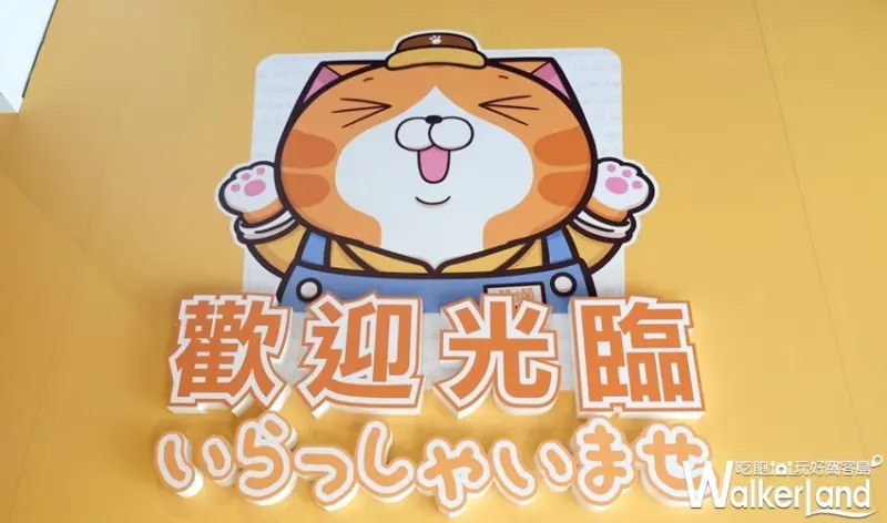 華山免費打卡「白爛貓87超商期間限定店」/ WalkerLand窩客島提供