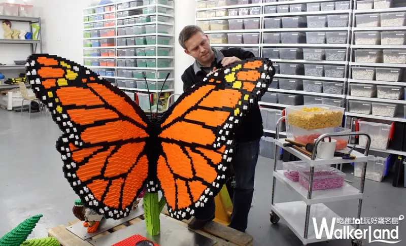 Sean Kenney- Nature Connects 大動物奇積