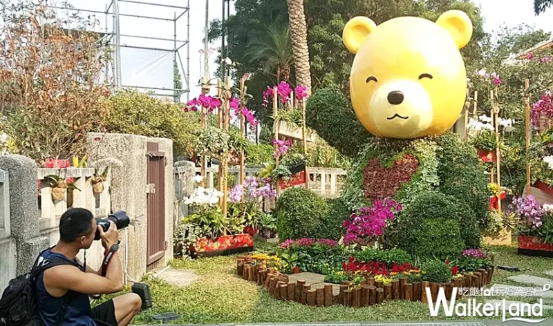 2019台灣燈會「屏東勝利星村燈區」 / WalkerLand窩客島提供