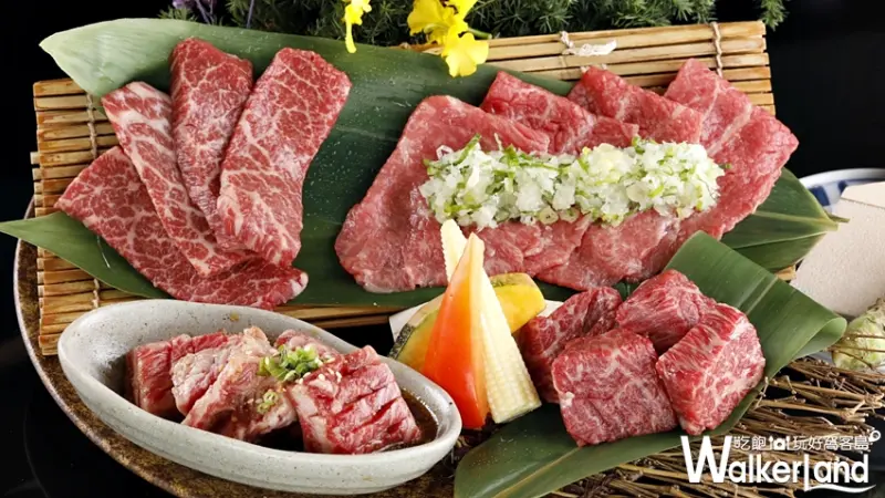 乾杯 / WalkerLand窩客島提供