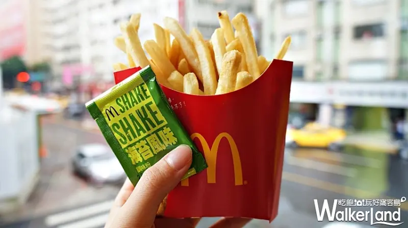 搖搖五霸 / WalkerLand窩客島提供