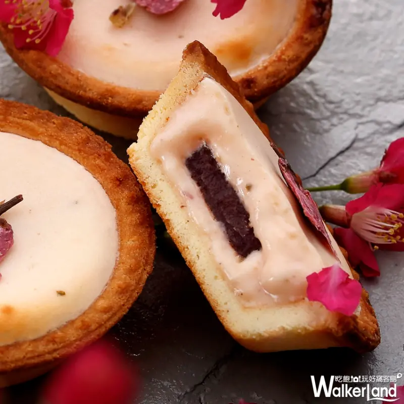 限量就是殘酷！激夯爆漿起司塔「安普雷修」櫻花祭限定「櫻花金時起司塔」，動作慢就吃不到。