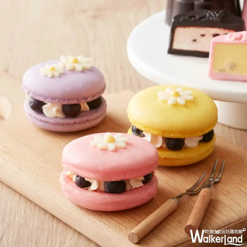 中秋禮盒大吹異國風！「COLD STONE」美、日、法三國甜點聯軍，早鳥最低68折！