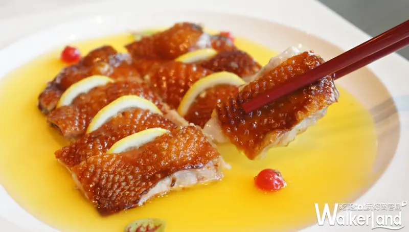 望月樓 / WalkerLand窩客島提供