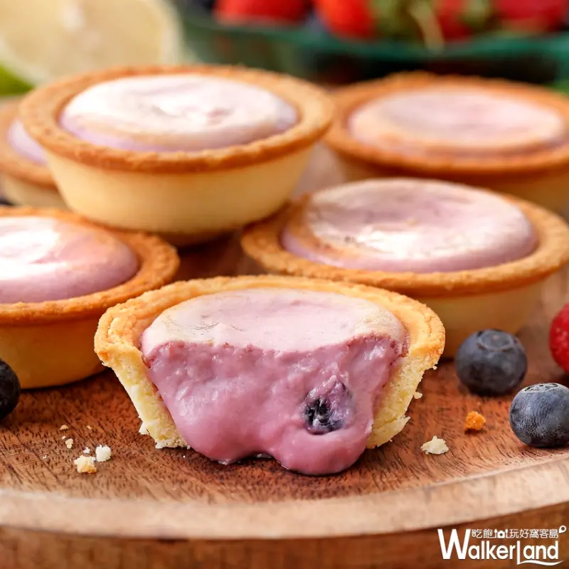 只有新竹人吃的到！「安普蕾修」新竹巨城快閃店，連續三天買一送一！新竹獨家「莓果起司塔」開賣！