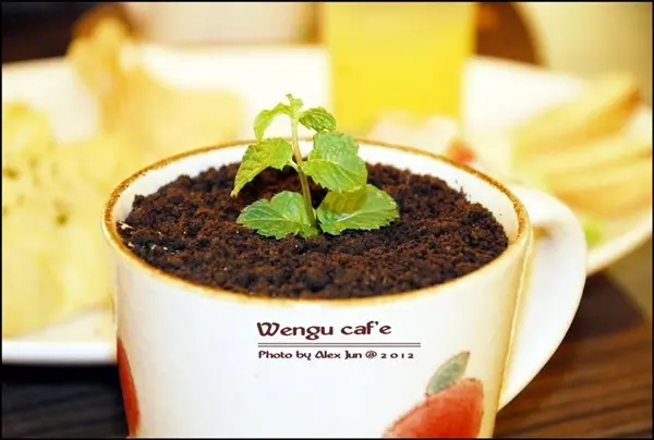 假鬼假怪 美食 懶人包 盆栽咖啡 溫古咖啡   / WalkerLand窩客島提供