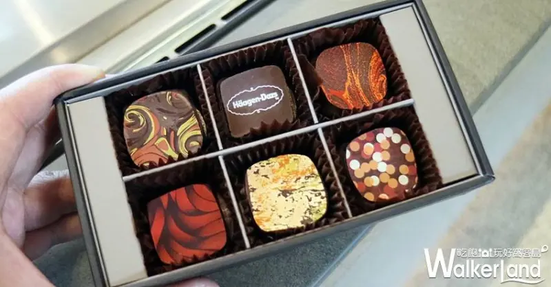 Haagen-Dazs / WalkerLand窩客島整理提供