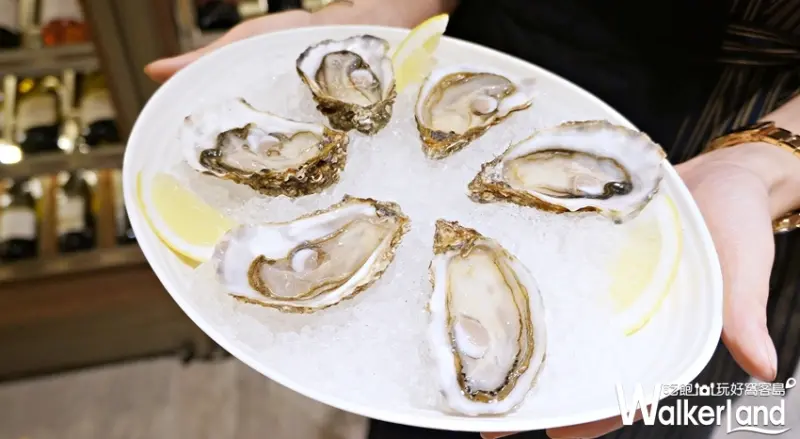 酒窖生蠔吧  / WalkerLand窩客島提供
