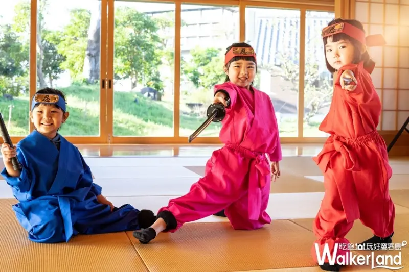 綠舞國際觀光飯店 / WalkerLand窩客島整理提供