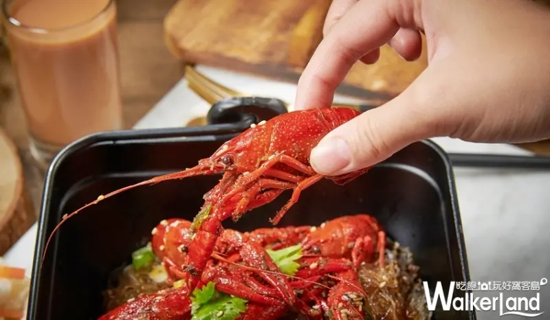 港點吃到飽只要500元！全台首間「港點大師」吃到飽只讓桃園人獨享，小龍蝦、冠軍流沙包通通都給你吃到飽。