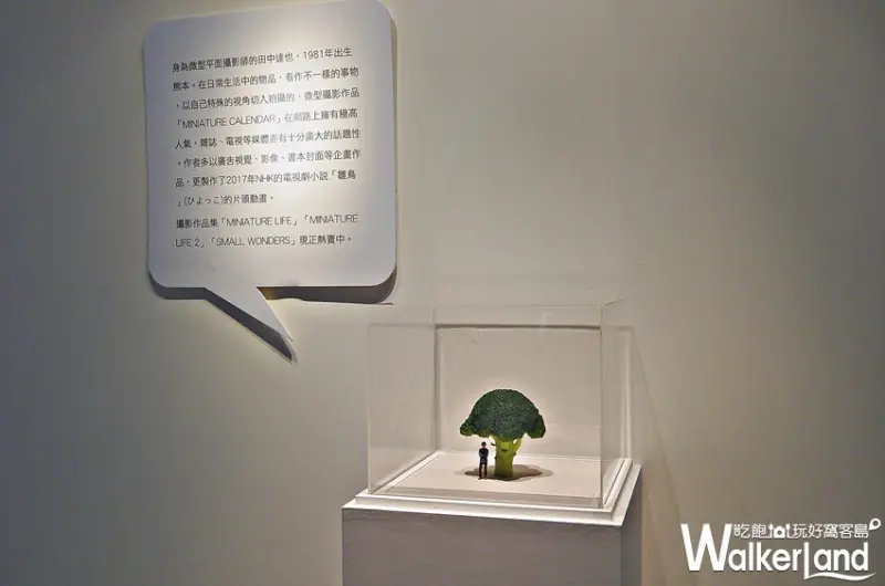 微型展2.0 田中達也的奇幻世界 / WalkerLand窩客島提供