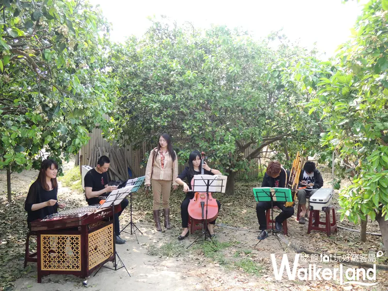 柚花,台南柚花,柚花巷,麻豆柚花,柚花藝術節