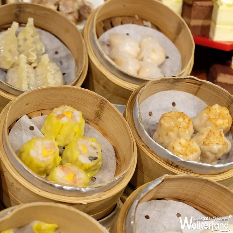 史上最心動吃到飽今天開吃！「大八潮坊」首推下午茶300元有找，經典港點無限續！