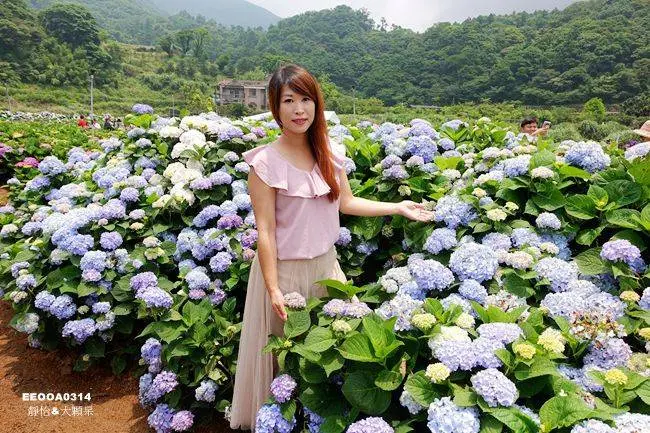 窩客 靜怡 推薦 高家花田