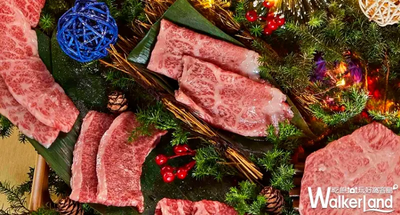 乾杯 / WalkerLand窩客島提供