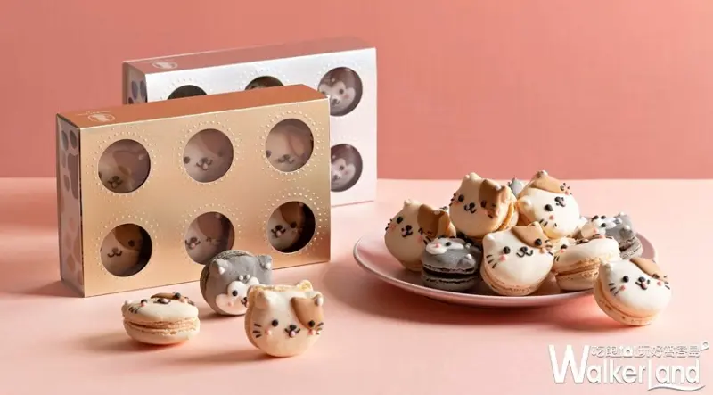 Dazzling Café / WalkerLand窩客島提供