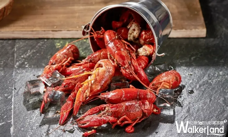 桃園吃到飽「港點大師」 / WalkerLand窩客島提供