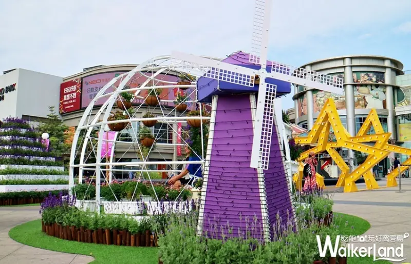 大魯閣草衙道 期間限定活動 / WalkerLand窩客島提供