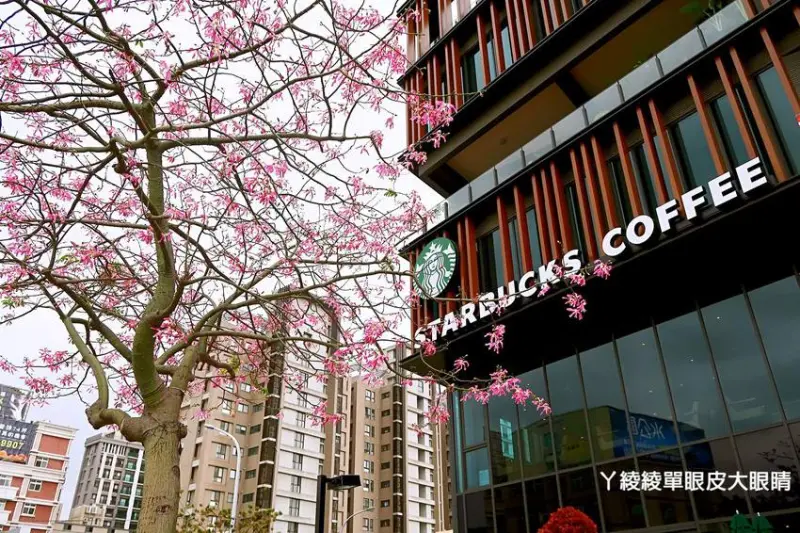 星巴克特色門市「星巴克竹北自強門市」 /美食窩客  ㄚ綾綾單眼皮大眼睛  提供