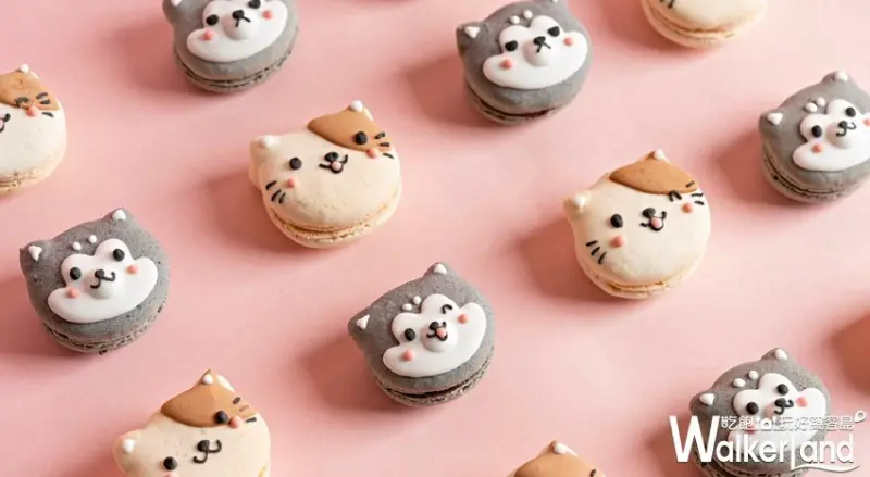 Dazzling Café / WalkerLand窩客島提供