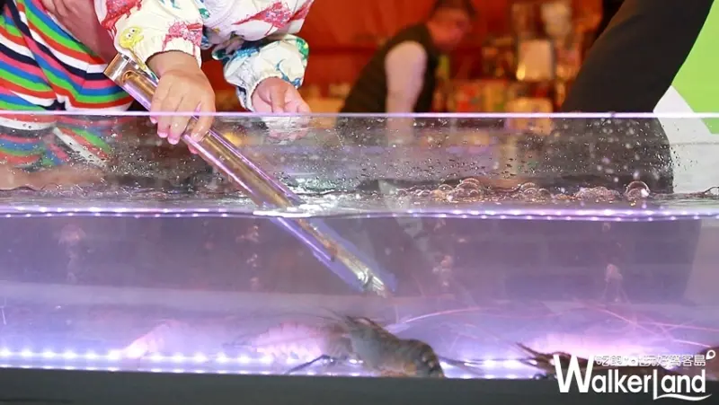 曼谷流水蝦吃到飽「泰夯蝦」 / WalkerLand窩客島提供